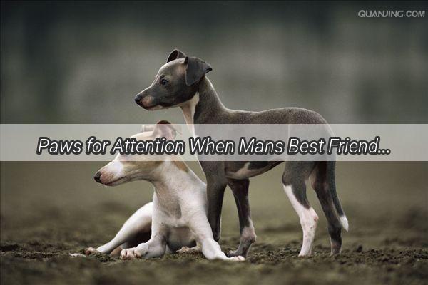 Paws for Attention When Mans Best Friend Speaks in Whiskers and Paws